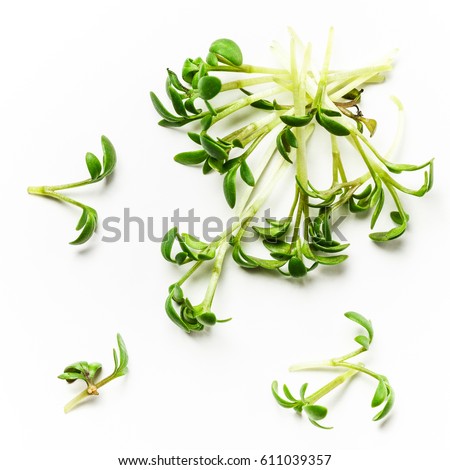 Fresh green cress salad on white background, top view, flat lay Royalty-Free Stock Photo #611039357