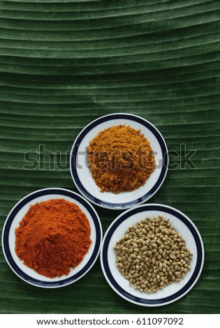 CIRCA 2007: Still life of curry and masala powder on a banana leaf