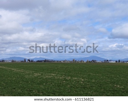 Fresh green colored field, horizon, and countryside in early spring