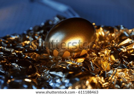 The Golden egg , a symbol of wealth and investment, rests on the foil. Brilliant picture