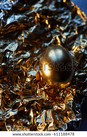 The Golden egg , a symbol of wealth and investment, rests on the foil. Brilliant picture