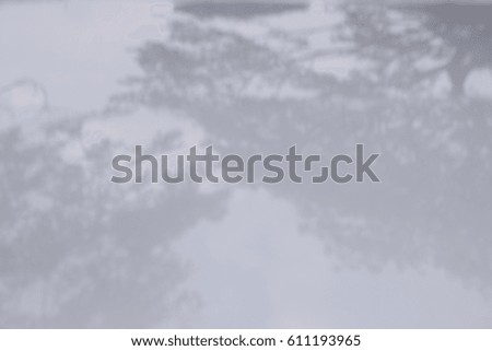 The picture blurred shiny trees shining white metal pearl background is a shadow out a bit dark in some strange view.