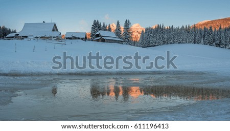 Winter at Pokljuka plateau