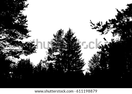 Black forest silhouette. Isolated on white background. Vector illustration for your design