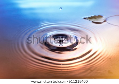 Yellow birch leave on water surface, rings from water drops. Fall background image