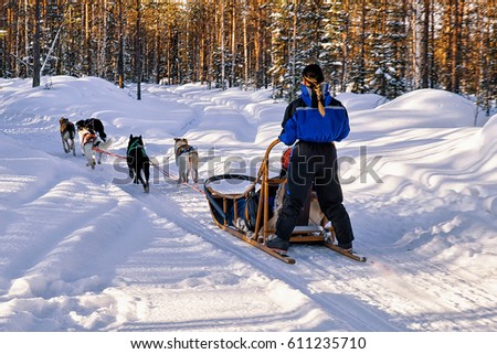 Woman riding husky dogs sledge in Rovaniemi, Lapland, Finland