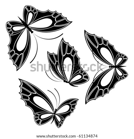 beautiful butterfly for a design