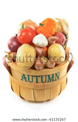 Still Picture of fresh collected from the farm field vegetables, ingredients and Gourds in wooden basket bushel over white background.