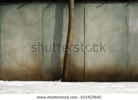 Tree in front of grungy metal wal and snow/ Seasonal background