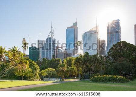 Cityscape with sun beam over the skyscraper and tropical park. Royal Botanic Garden, Sydney, Australia.