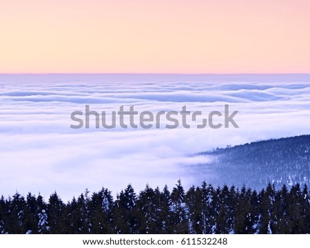 Highest hills above inverse mist. Winter cold weather in mountains, colorful fog. Misty valley in winter mountains. Peaks of  mountains above creamy mist. 