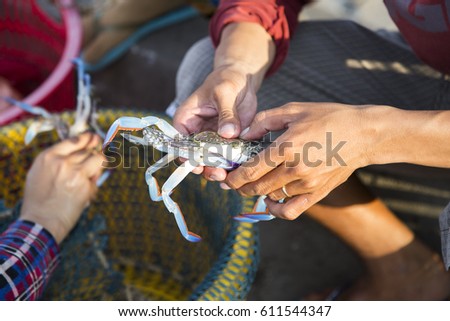Asian fisherman taking spider crab from fishing trip