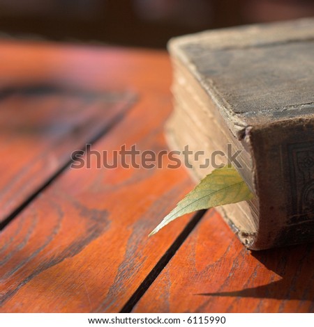 Picture of a old book and leaf