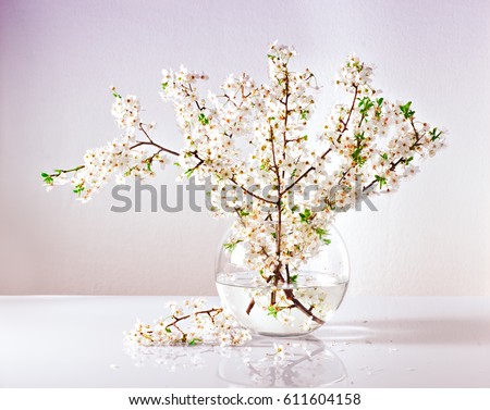 branches of a blossoming apple tree in a glass vase with water