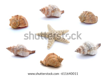 Collage of seashells and starfish isolated on white background. Royalty-Free Stock Photo #611640011