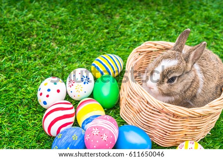Rabbit and easter eggs in green grass
