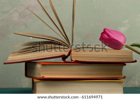 Education and hobby concept - Flowers tulips and books