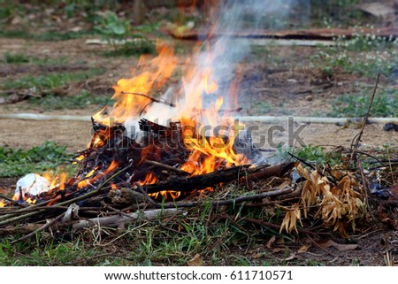 fire Burning garbage, dry grass in the forest hot weather. Royalty-Free Stock Photo #611710571