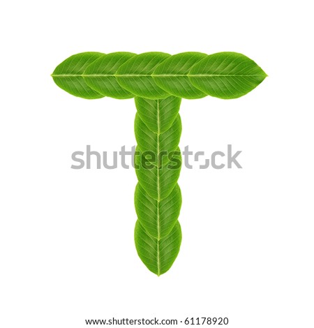 Letter T made from leaves