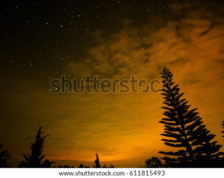 A view of the stars on sky with a pine trees in the foreground. 