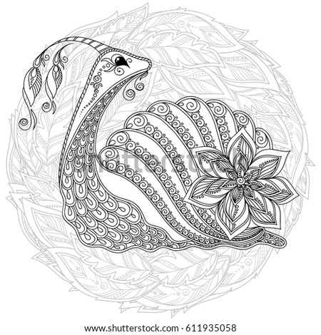 Zentangle stylized cartoon snail, isolated on white background. Sketch for adult antistress coloring page. Hand drawn doodle, zentangle, floral design elements for coloring book.