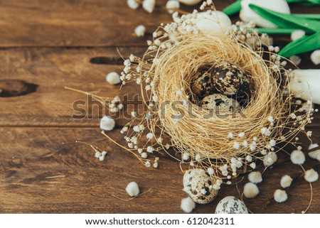 Quail eggs in nest. Easter concept 