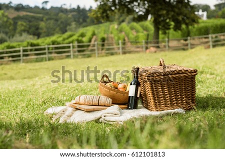 Picnic basket on grass with food and drink on blanket. Picnic lunch outdoor in a field on sunny day with bread, fruit and bottle of red wine. Pic nic on green grass with landscape in the background. Royalty-Free Stock Photo #612101813