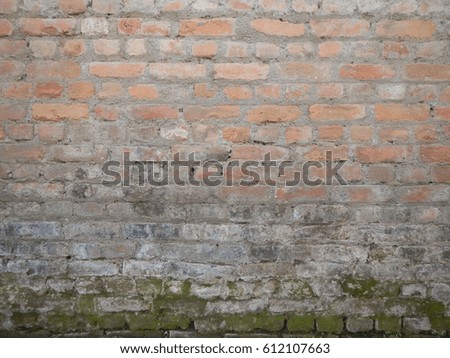 Brick Texture_8