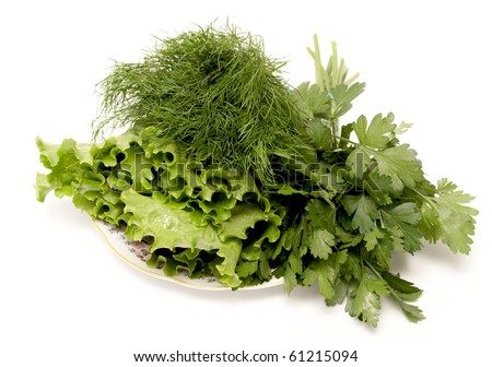 Dill and parsley are shown in the picture.