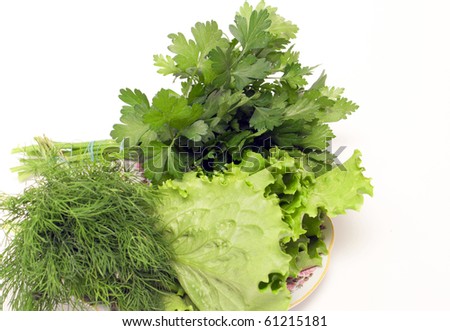 Dill and parsley are shown in the picture.