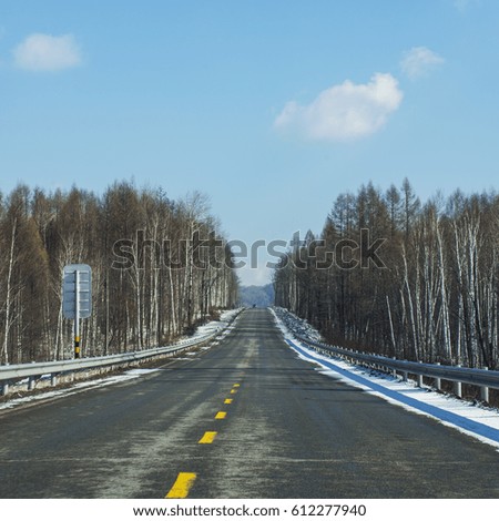 Snow forest road