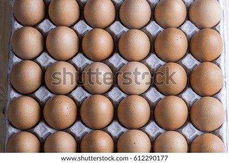 Top of view on eggs row, ingredient food background.