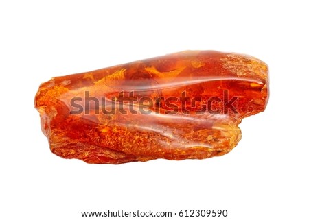 Oblong piece of amber with inclusions in the form of a fly of red color. Mineral for jewelry. Transparent  and polished  amber of red color on a white background.
