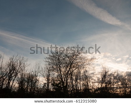 Sunsetting Over a Silhouette of Houses and Trees