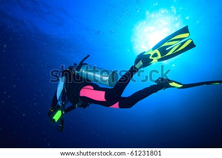 Diver in pink wetsuit and green fin Royalty-Free Stock Photo #61231801