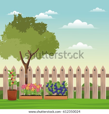 pot plants tree field fence