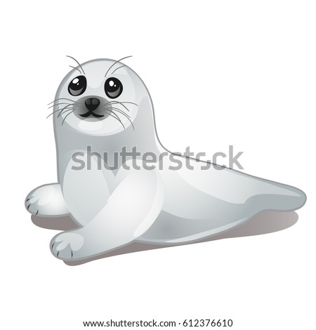 Cute animated baby Arctic seals isolated on white background. Vector cartoon close-up illustration.
