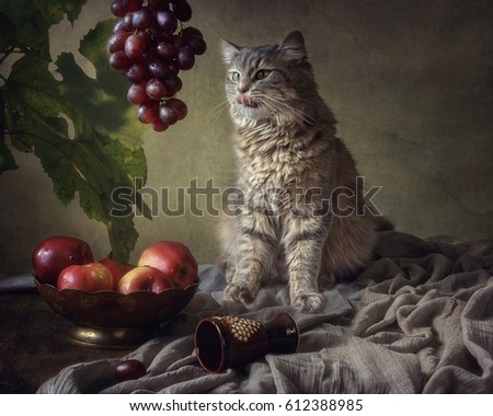 Kitten and grape