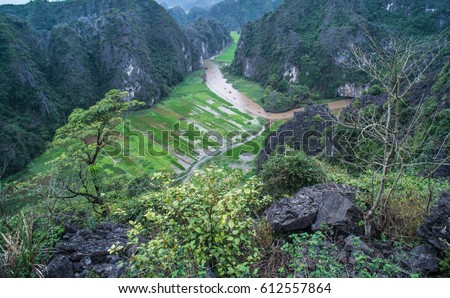 Top view of rice paddies amid limestones from Mua Caves in Tam Coc, Ninh Binh, Vietnam