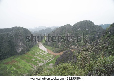 Top view of rice paddies amid limestones from Mua Caves in Tam Coc, Ninh Binh, Vietnam