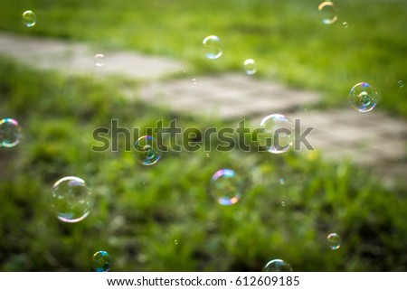 Bubble blower on the green grass
