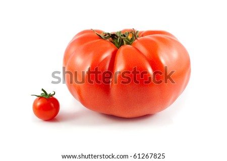 Organic Giant Beef and Tiny Cherry Tomatoes Isolated on White Background Royalty-Free Stock Photo #61267825