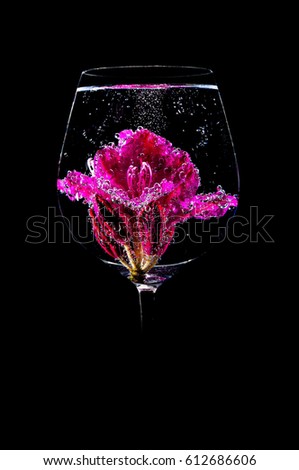 Water Flower, Flower in glass