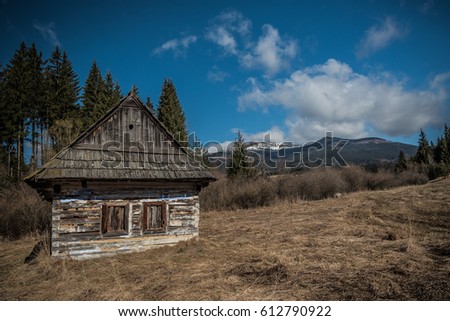 Traditional historical Slovakian Timber Houses with Wooden Roof.
