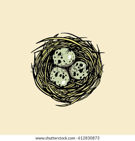 Vector illustration of hand drawn nest with spotted eggs. Beautiful design elements, perfect for Easter decoration