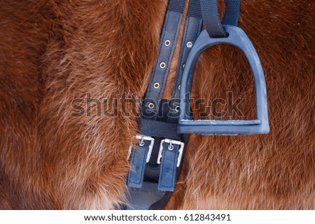 Photo of horse with saddle and stirrup in winter