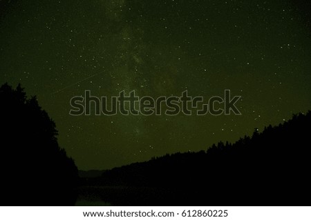 Milky way at night in forest nature