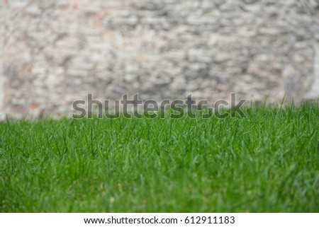 Green grass and old natural stone wall background