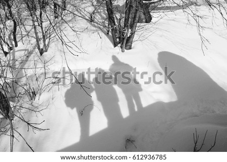 Silhouettes of the shadow of three people on a snow-covered lawn in winter frosty day. Black and white photo