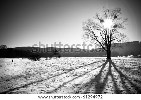 lonely tree with girl